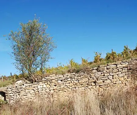 Holiday home Vigneron Nature *