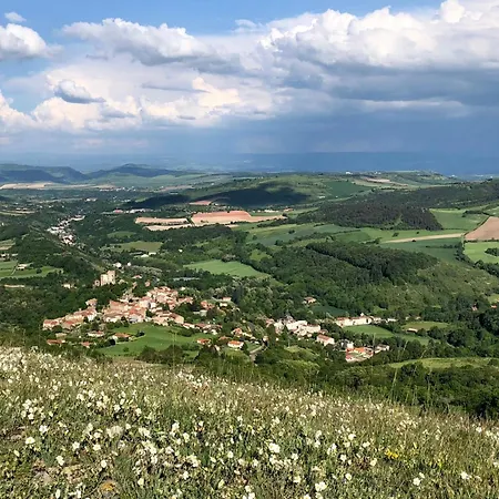Vigneron Nature Montaigut-le-Blanc (Puy-de-Dome)